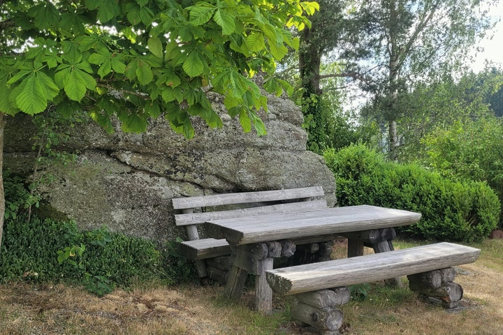 Ein ruhiger Sitzplatz mit Holzbänken unter grünen Bäumen.