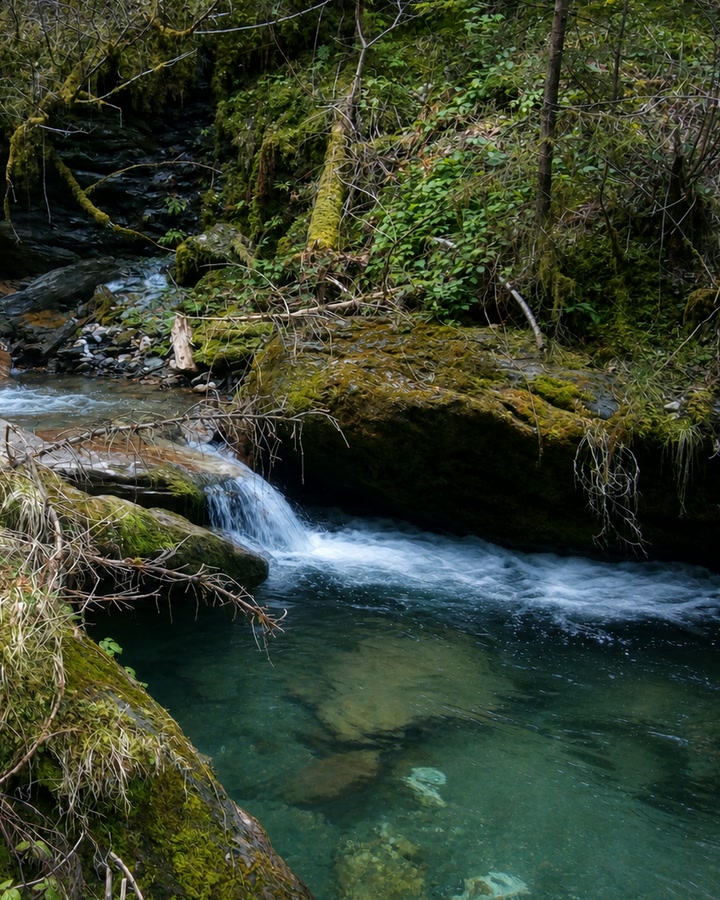 Klares Wasser fließt zwischen moosbewachsenen Steinen.