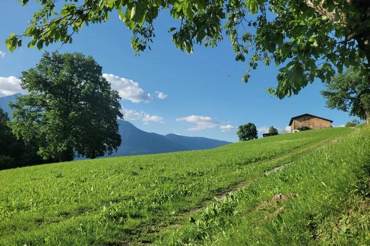 Ein schmaler Wiesenweg führt über einen sonnigen Hang in den Tiroler Bergen.